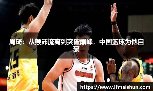 BB贝博官网